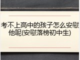 考不上高中的孩子怎么安慰他呢(安慰落榜初中生)