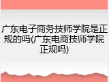 广东电子商务技师学院是正规的吗(广东电商技师学院正规吗)