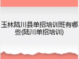 玉林陆川县单招培训班有哪些(陆川单招培训)