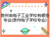 贵州省电子工业学校有哪些专业(贵州电子学校专业)