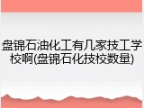 盘锦石油化工有几家技工学校啊(盘锦石化技校数量)