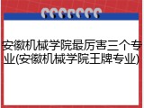 安徽机械学院最厉害三个专业(安徽机械学院王牌专业)