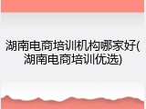 湖南电商培训机构哪家好(湖南电商培训优选)