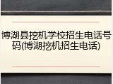 博湖县挖机学校招生电话号码(博湖挖机招生电话)