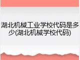 湖北机械工业学校代码是多少(湖北机械学校代码)