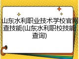 山东水利职业技术学校官网查技能(山东水利职校技能查询)