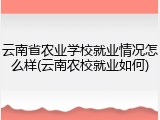 云南省农业学校就业情况怎么样(云南农校就业如何)