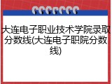 大连电子职业技术学院录取分数线(大连电子职院分数线)