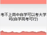考不上高中自学可以考大学吗(自学高考可行)