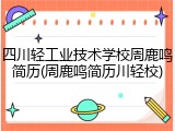 四川轻工业技术学校周鹿鸣简历(周鹿鸣简历川轻校)