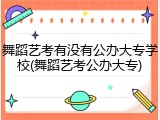舞蹈艺考有没有公办大专学校(舞蹈艺考公办大专)
