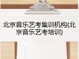 北京音乐艺考集训机构(北京音乐艺考培训)