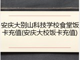 安庆大别山科技学校食堂饭卡充值(安庆大校饭卡充值)