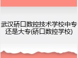 武汉硚口数控技术学校中专还是大专(硚口数控学校)