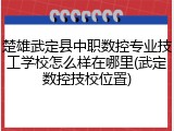 楚雄武定县中职数控专业技工学校怎么样在哪里(武定数控技校位置)