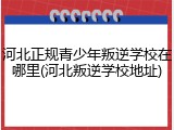 河北正规青少年叛逆学校在哪里(河北叛逆学校地址)
