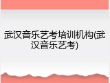 武汉音乐艺考培训机构(武汉音乐艺考)