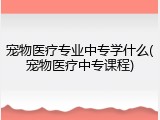 宠物医疗专业中专学什么(宠物医疗中专课程)