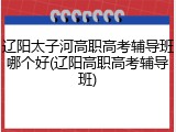 辽阳太子河高职高考辅导班哪个好(辽阳高职高考辅导班)