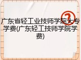广东省轻工业技师学院大专学费(广东轻工技师学院学费)