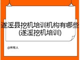 遂溪县挖机培训机构有哪些(遂溪挖机培训)