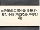 百色靖西县农业职业技术中专好不好(靖西农职中专好吗)