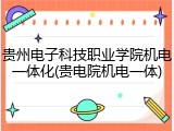 贵州电子科技职业学院机电一体化(贵电院机电一体)