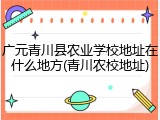 广元青川县农业学校地址在什么地方(青川农校地址)