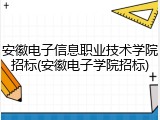 安徽电子信息职业技术学院招标(安徽电子学院招标)