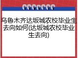 乌鲁木齐达坂城农校毕业生去向如何(达坂城农校毕业生去向)