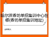 哈尔滨香坊单招集训中心在哪(香坊单招集训地址)