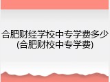 合肥财经学校中专学费多少(合肥财校中专学费)