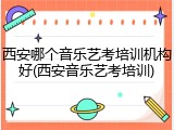西安哪个音乐艺考培训机构好(西安音乐艺考培训)