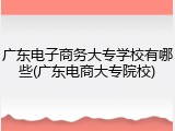 广东电子商务大专学校有哪些(广东电商大专院校)