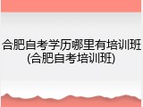 合肥自考学历哪里有培训班(合肥自考培训班)