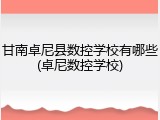 甘南卓尼县数控学校有哪些(卓尼数控学校)