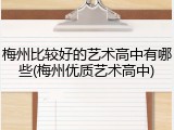 梅州比较好的艺术高中有哪些(梅州优质艺术高中)
