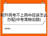 初升高考不上高中应该怎么办呢(中考落榜出路)