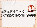 沈阳沈河补习学校一年费用多少钱(沈阳沈河补习学费)