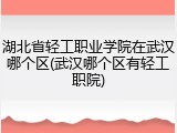 湖北省轻工职业学院在武汉哪个区(武汉哪个区有轻工职院)