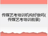 传媒艺考培训机构好做吗(传媒艺考培训前景)