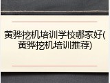 黄骅挖机培训学校哪家好(黄骅挖机培训推荐)