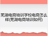 芜湖电商培训学校电商怎么样(芜湖电商培训如何)