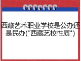 西藏艺术职业学校是公办还是民办("西藏艺校性质")