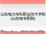 山东电力专科职业技术学院(山东电专职院)