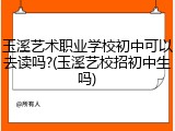 玉溪艺术职业学校初中可以去读吗?(玉溪艺校招初中生吗)