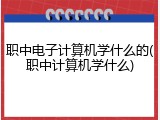 职中电子计算机学什么的(职中计算机学什么)