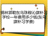 锡林郭勒东乌珠穆沁旗补习学校一年费用多少钱(东乌旗补习学费)