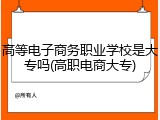 高等电子商务职业学校是大专吗(高职电商大专)