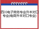 四川电子商务专业升本对口专业(电商升本对口专业)